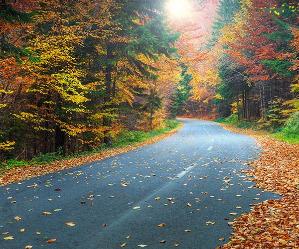 empty fall road in wisconsin